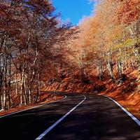 Livata, campo dell'osso