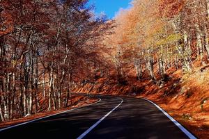 Livata, campo dell'osso