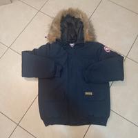 Canada goose L
