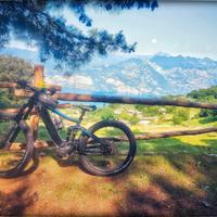 Bicicletta Giant fully