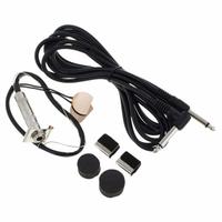 Fishman BP-100 Pickup per Contrabbasso