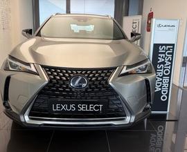 Lexus UX 250 H Hybrid Business