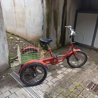 Bicicletta a 3 ruote GANNA 