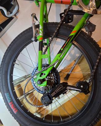 bicicletta