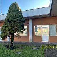 Locale commerciale - Corno di Rosazzo