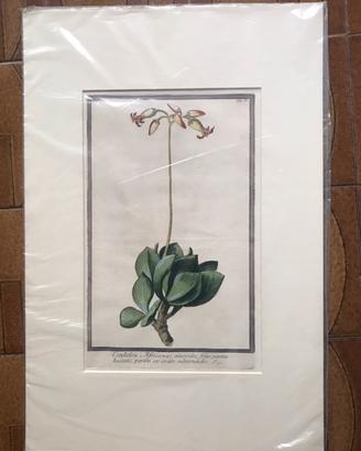 Stampa artistica