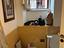 Immagine 29