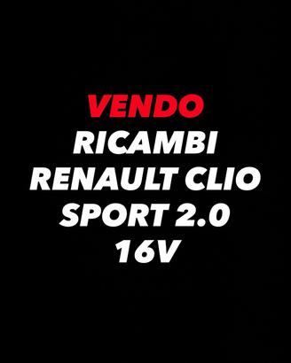 RICAMBI RENAUL CLIO