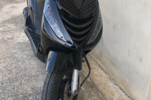 Altro Altro modello - 2009