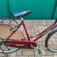 bicicletta donna Holland varesina