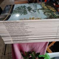 L' arte racconta Skira