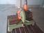 Immagine 1