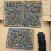 Vindictor Warhammer AoS Nuovo