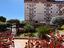 Immagine 11