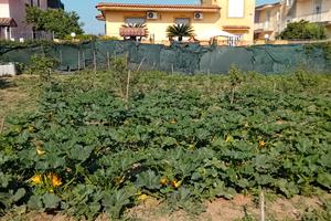 TERRENO AGRICOLO 1.000MT - Rif. FL286