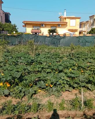 TERRENO AGRICOLO 1.000MT - Rif. FL286
