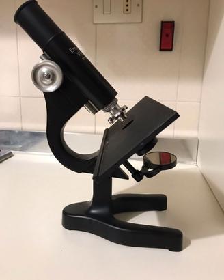 Microscopio Ernst Leitz Wetzlar