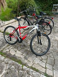 MTB per bimbo / ragazzo / uomo / donna