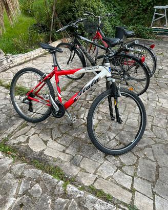MTB per bimbo / ragazzo / uomo / donna