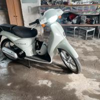 Scarabeo 50