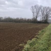 RGE 258/2024 Trib Pavia - LOTTO 2