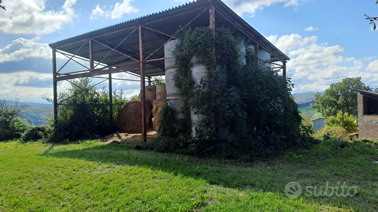 Rustico con terreno - Vista 3