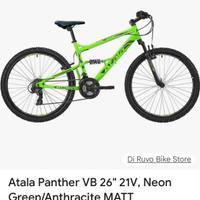 mountain bike