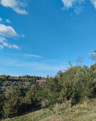 Casa vacanza Palmira
