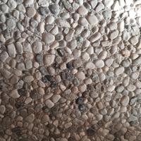 piastrelle da giardino  50 x 50