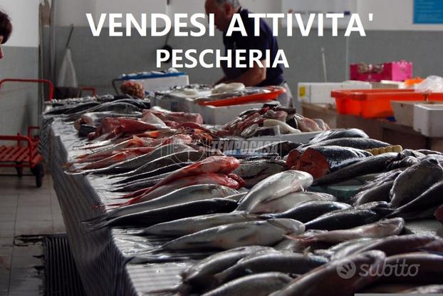 Pescheria a Ancona CRISTOFORO COLOMBO 1 locali