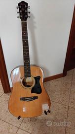 Chitarra - Ibanez V50NJP-NT