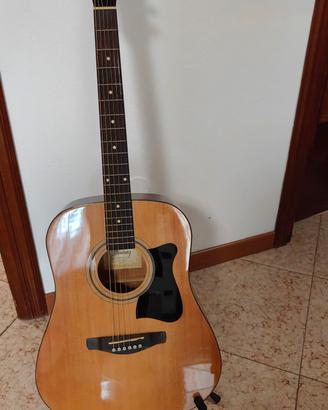 Chitarra - Ibanez V50NJP-NT