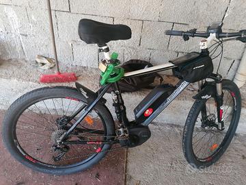 Bici elettrica 