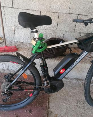 Bici elettrica 
