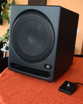 subwoofer pre-sonus T10 temblor 