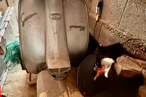 Lambretta 150 special da restaurare