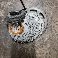 Pacco pignoni miche 11v