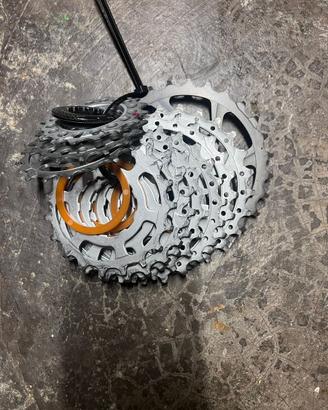 Pacco pignoni miche 11v