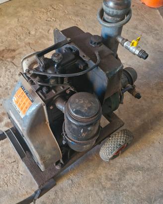 Motopompa con motore Lombardini
