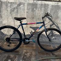 Bicicletta 26 pollici