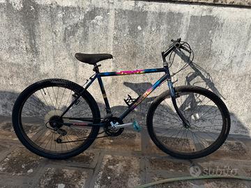 Bicicletta 26 pollici