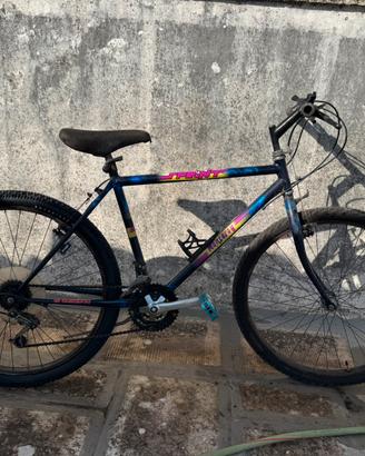 Bicicletta 26 pollici