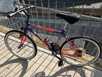 Bici mountain bike anni 90