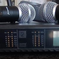 Coppia di microfoni wireless