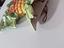 Immagine 4