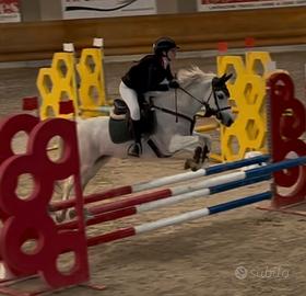 Pony 13 anni femmina