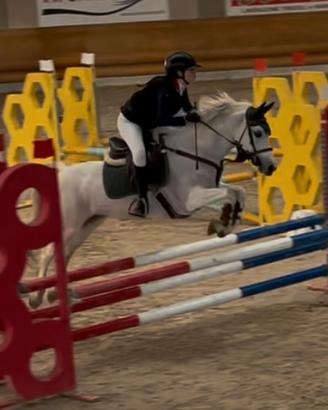 Pony 13 anni femmina