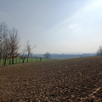 Terreno edificabile 3350 Mq