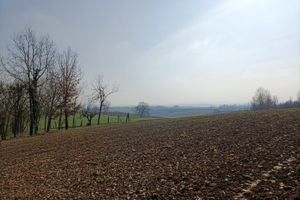 Terreno edificabile 3350 Mq