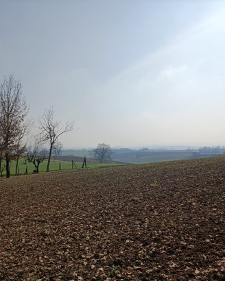 Terreno edificabile 3350 Mq